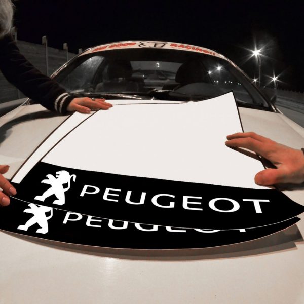 Peugeot Door Plates , KANJO Door Plates, Windshield Banners, Car Stickers,  Kanjo Custom Racing Decals And Stickers